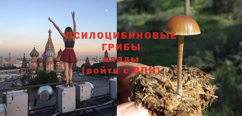 Галлюциногенные грибы Magic Shrooms Осташков